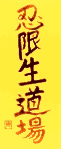 Logo dojo